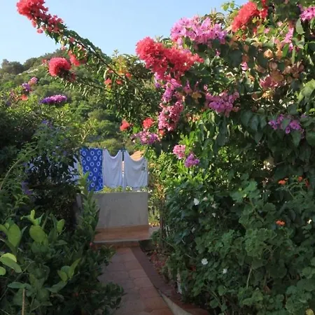 Apartman Apartments By The Sea Zaklopatica, Lastovo - 8341